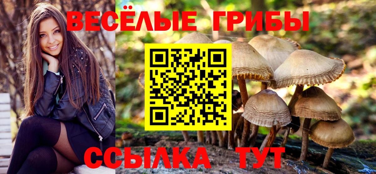 Псилоцибиновые грибы Magic Shrooms  Псилоцибиновые грибы Magic Shrooms  Донецк  дарнет шоп  Вход с VPN 