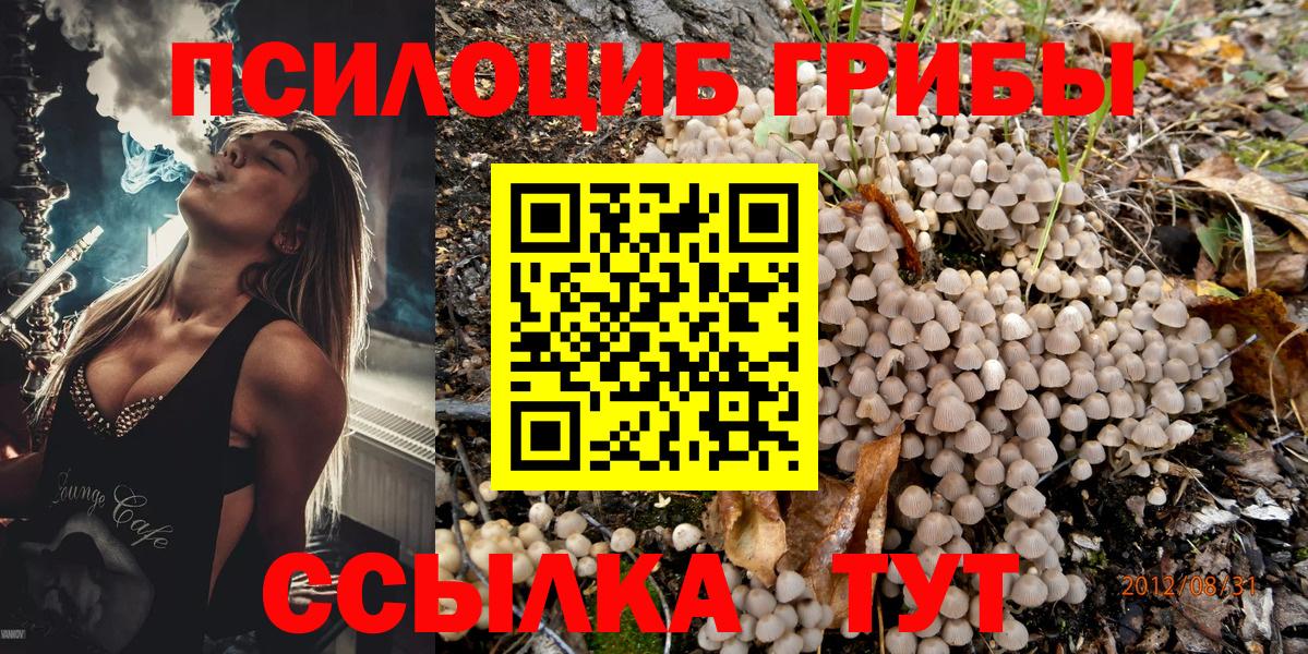 Псилоцибиновые грибы GOLDEN TEACHER Донецк
